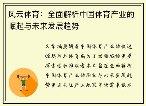 风云体育：全面解析中国体育产业的崛起与未来发展趋势